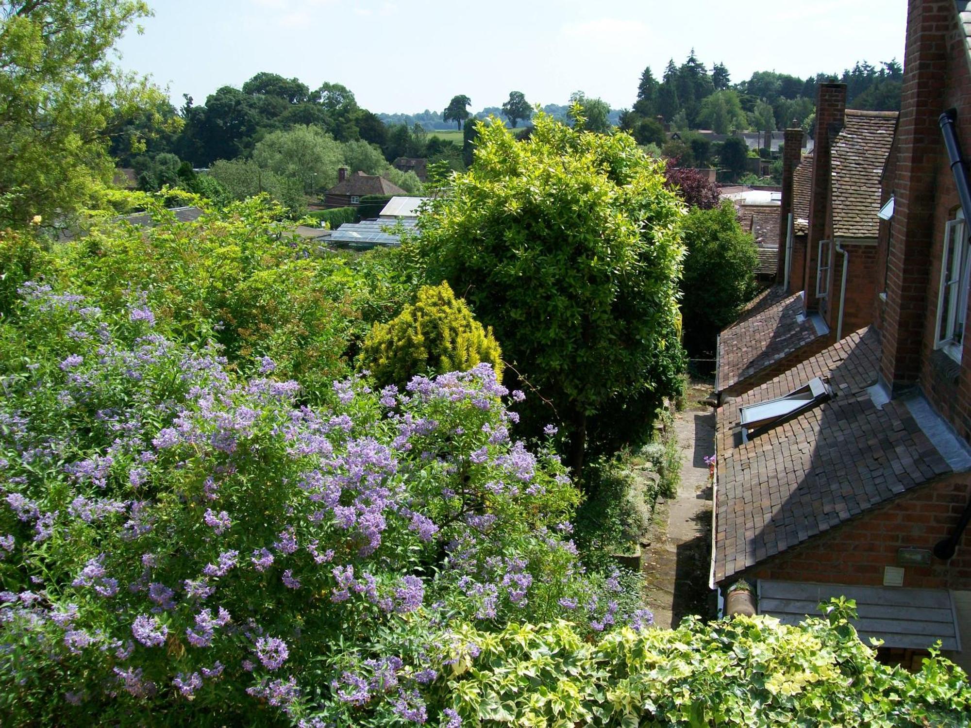 Frog Cottage, Ludlow - A Charming Townhouse For 4 Eksteriør billede